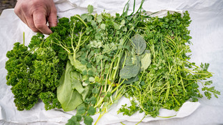 Mit großem Soßen-Wettbewerb: Grüne Soße Festival in Frankfurt