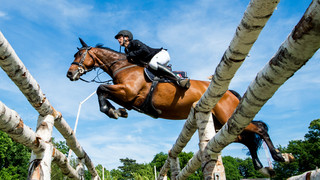Pfingstturnier in Wiesbaden: Springreiter Vereecke holt Großen Preis
