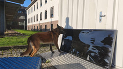 Kind in Beverungen auf Drogen führt Polizei zu Riesen-Fund