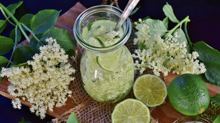 Holunderblüten-Sirup: So machst du ihn selbst