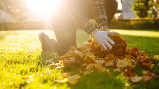 Garten im Herbst: Das musst du im Oktober machen