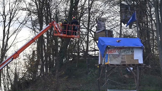 Tagebau Hambach: Polizei räumt besetztes Waldstück 