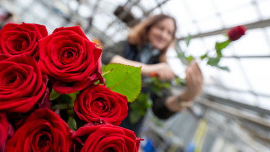 Valentinstag und die Fastnacht: Das erwarten Hessens Händler