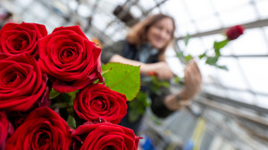 Valentinstag und die Fastnacht: Das erwarten Hessens Händler