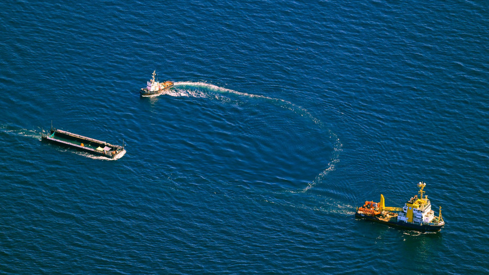 Weitere Entwicklung zum Buckelwal auf dem Weg aus der Ostsee