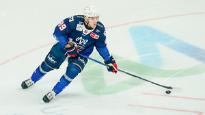 Prominenter Neuzugang für DEL2-Club: Kassel Huskies holen David Wolf