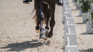 Pfingstreitturnier: Hemmer siegt in Wiesbadener Grand Prix