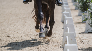 Pfingstreitturnier: Hemmer siegt in Wiesbadener Grand Prix