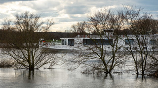 Flusskreuzfahrten boomen - Rüdesheim profitiert enorm
