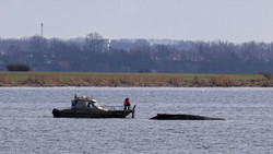 Wal-Einsatz immer teurer – Bergung wird größter Kostenpunkt