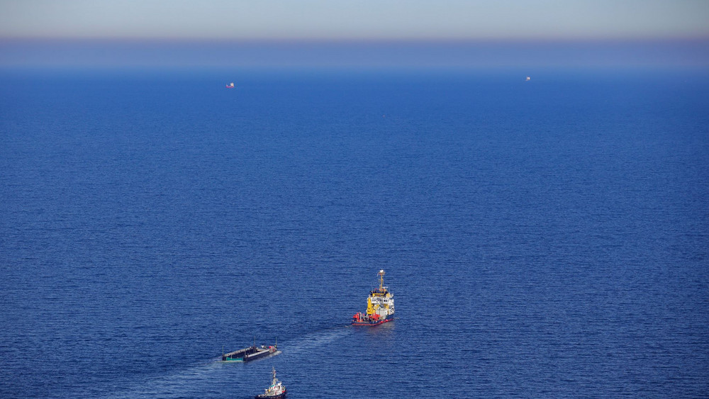 Weitere Entwicklung zum Buckelwal in der Ostsee