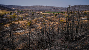 Hessische Feuerwehrleute im Einsatz gegen Frankreichs Brände