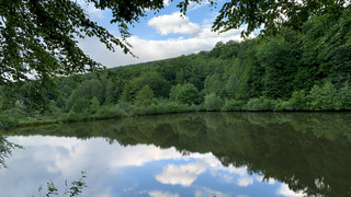 Mehrere osthessische Seen mit Blaualgen belastet