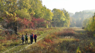 Naturmonument "Grünes Band" wird eröffnet, Wildeck-Obersuhl