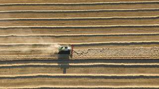 Wetterkapriolen machen den Bauern Sorgen: Ernteausfälle befürchtet