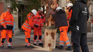 Ein Tiroler Christbaum in Bayern: München startet in die Weihnachts-Saison
