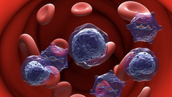 Eine der gefährlichsten Krebsarten – was Blutkrebs so tückisch macht