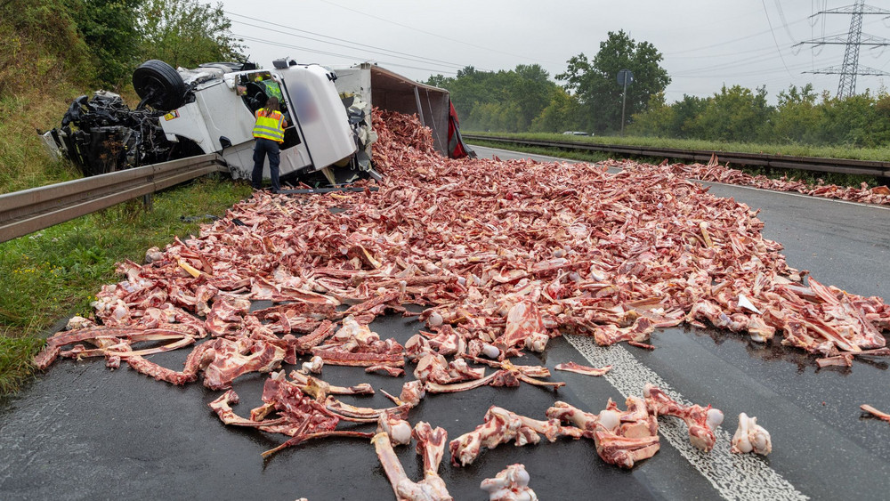 Fleischreste und Nougat-Creme auf der A7