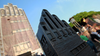 Trauer in Darmstadt: Stadtkater Einstein nach OP gestorben