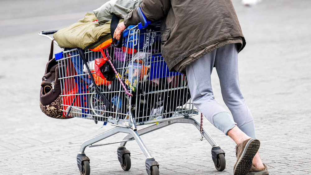 Die Täter sollen mit Waren gefüllte Einkaufswagen einfach aus dem Laden gefahren haben  - ohne zu bezahlen