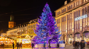 Darmstädter Weihnachtsmarkt 2024: Termine, Programm, Angebote