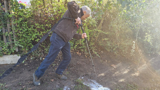 Große Drüsenameise: Gelnhausen zieht mit Lanze in den Kampf