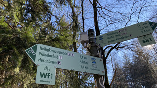 Neues System für Waldbrand-Früherkennung in Wilhelmsfeld