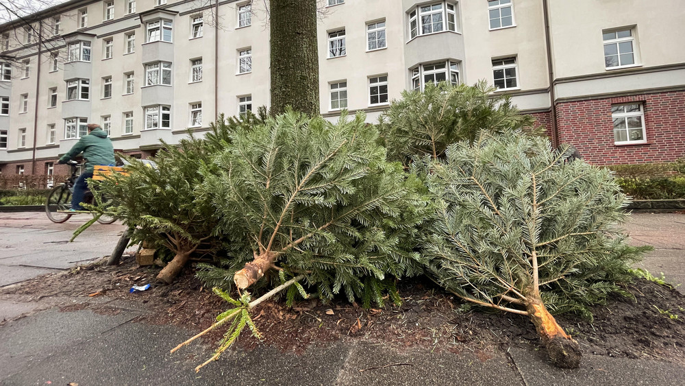 Viele abgeschmückte Weihnachtsbäume liegen derzeit an den Straßen in Städten und Gemeinden (Symbolbild).