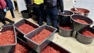 Frankfurter Zollfahnder heben illegale Fabriken für Shisha-Tabak aus