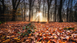 Herbst im Mainzer Umweltladen