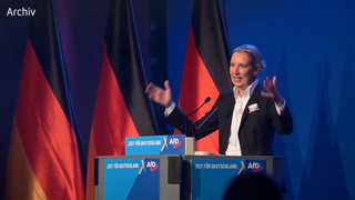 «Schmierige Stasi-Spitzel»: Weidel teilt gegen Verfassungsschutz aus