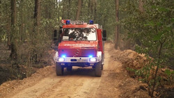 Größter Brand der NRW-Geschichte: Feuer im Hürtgenwald gelöscht