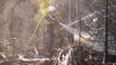 100 Waldbrände in Hessen seit Jahresbeginn