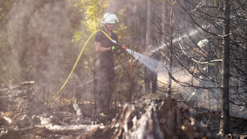 Waldbrand im Taunus