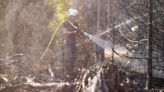 100 Waldbrände in Hessen seit Jahresbeginn