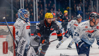 Eishockey: Löwen Frankfurt verlieren, Kassel siegt zum 5.Mal in Folge