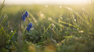 Wie wird das Wetter am Wochenende in Hessen?