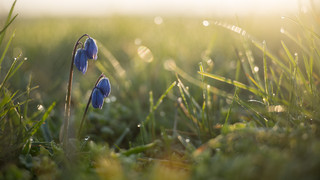 Wie wird das Wetter am Wochenende in Hessen?