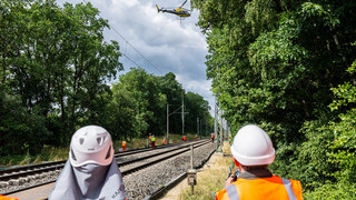 Ludwigshöhviertel in Darmstadt: Waldabholzung wird nach Kritik geprüft
