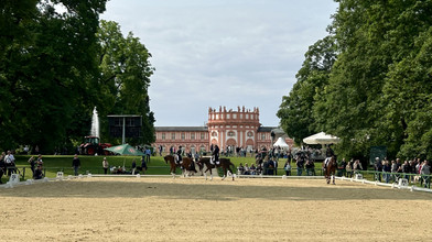 Traditionsreiches Pfingstreitturnier in Biebrich fällt 2026 aus
