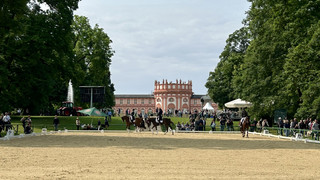 Pfingstreitturnier Wiesbaden: Tolle Kulisse im Schlosspark Biebrich