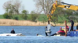 Neuer Wal-Plan offenbart das nächste Retter-Chaos