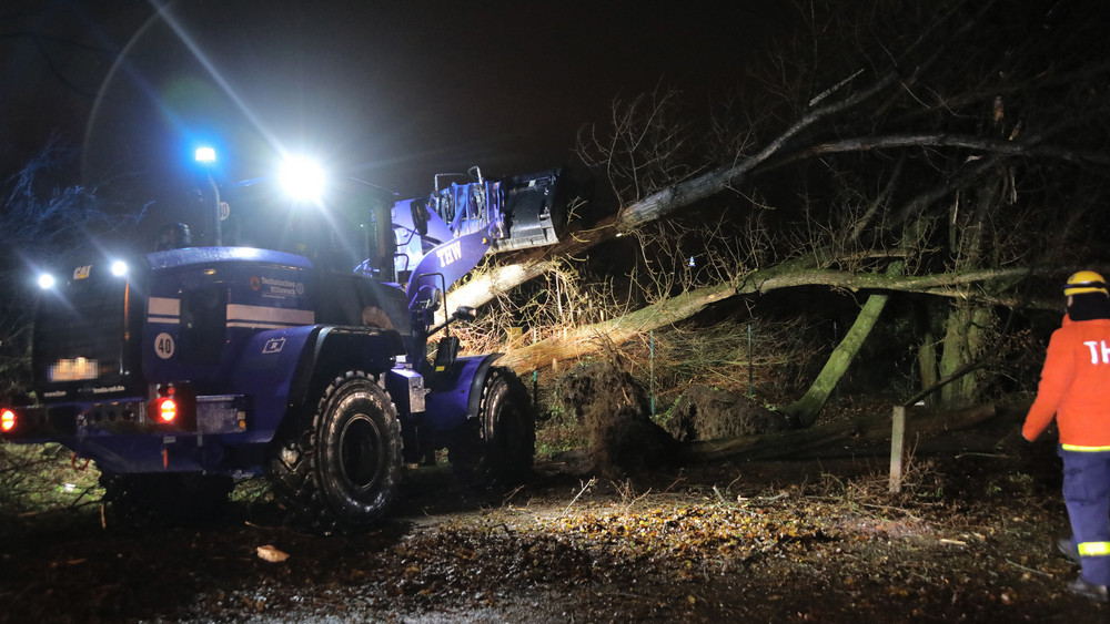 Das Technische Hilfswerk (THW) räumt mit einem Radlader einen umgefallenen Baum von der Straße.