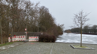 Gießen: Streit um Schwanenteich-Damm - Stadt wird Bäume wohl erhalten