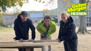 Hilfe in den Herbstferien: Reporter zum Mieten