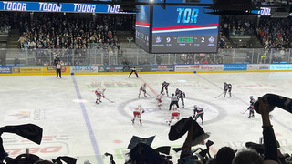 Last-Minute-Deal - Kassel Huskies verpflichten DEL-Stürmer