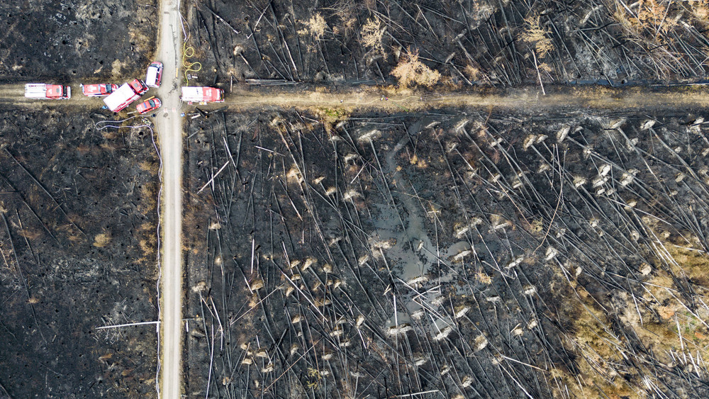 Inmitten einer niedergebrannten Waldfläche löschen Feuerwehrleute letzte Glutnester (Luftaufnahme mit einer Drohne). Insgesamt mehrere tausend Feuerwehrleute hatten den Waldbrand tagelang eingedämmt. Im Boden lagernde Munition hatte die Gefahr für die Einsatzkräfte zusätzlich erhöht.