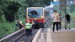 Zug prallt gegen Baum in Berlin – Ausfälle bei S-Bahn