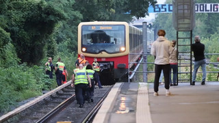Zug prallt gegen Baum in Berlin – Ausfälle bei S-Bahn
