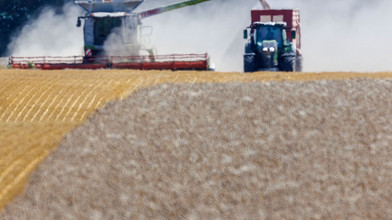 Bauernverband warnt vor totalem Ernteausfall